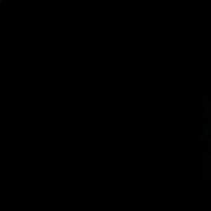 Meet your Posher, Alicea